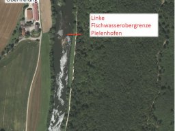 Gewässer &raquo; Naab Pielenhofen